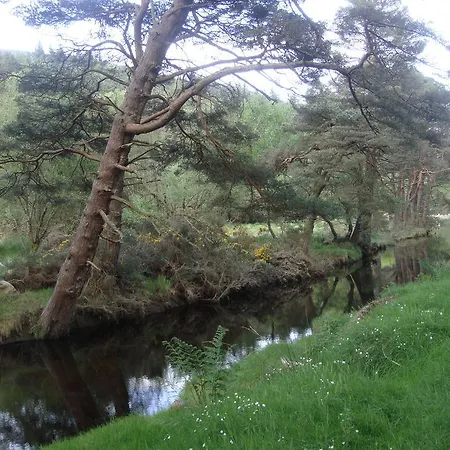 Guest house Riversdale House Accommodation Laragh