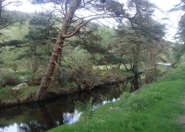 Guest house Riversdale House Accommodation Laragh